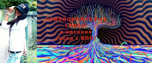 гашик Балабаново